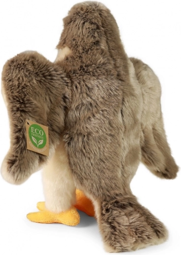 ECO Friendly pildījums no pārstrādātām PET pudelēm