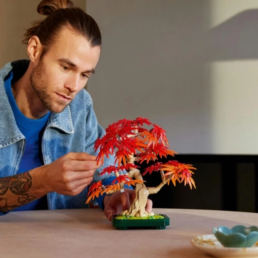 Radoša zaru veidošana