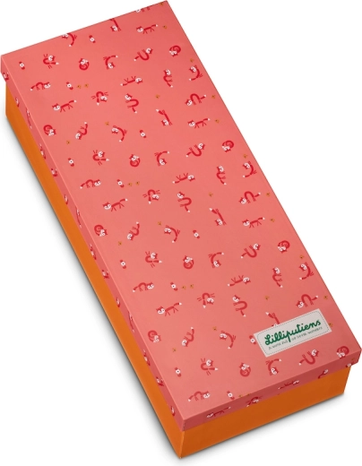 Skaista dāvanu kastīte