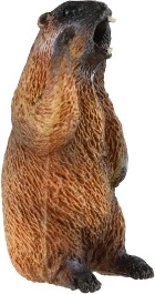 Izglītojošs un dekoratīvs pielietojums