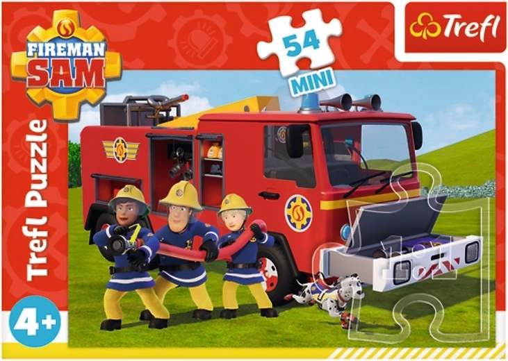 54 gabali gudrajām galviņām