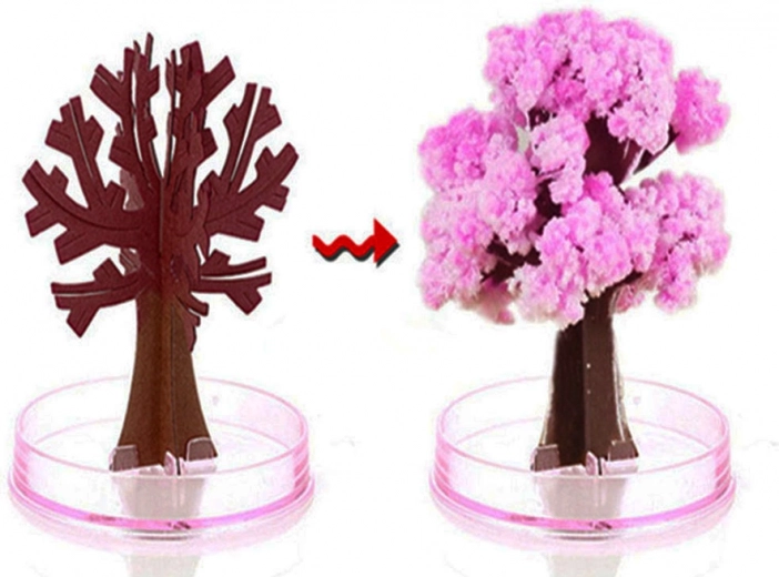 Tūlītējs ziedēšanas efekts