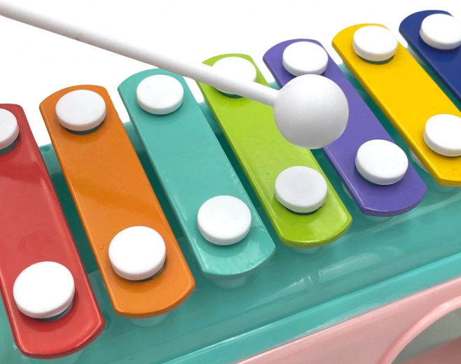 Mūzikas prieks ar ksilofonu