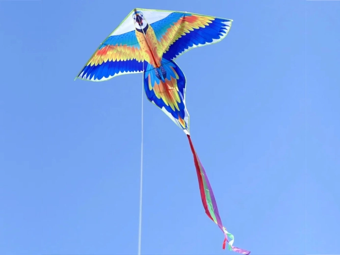 Stabils lidojums ar garu asti