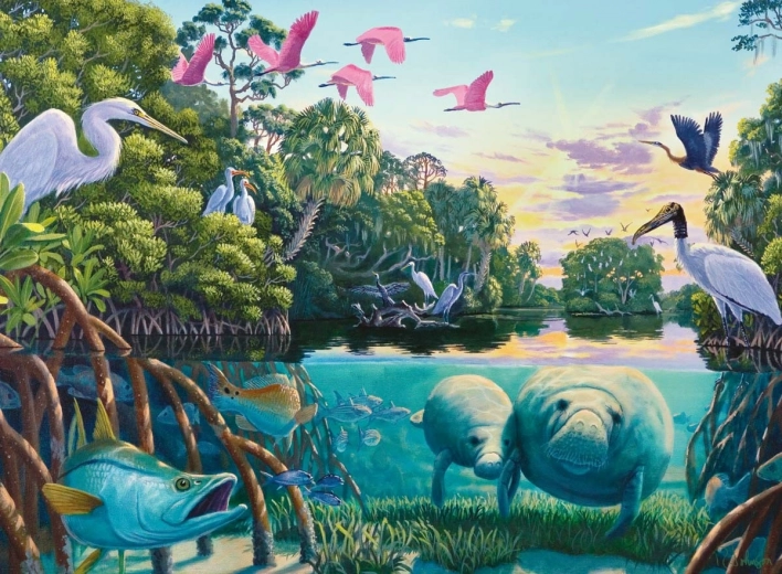Tropical biodiversity