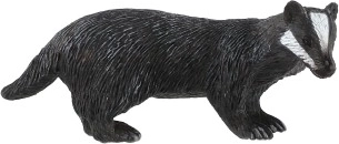 Āpša raksturīgās pazīmes