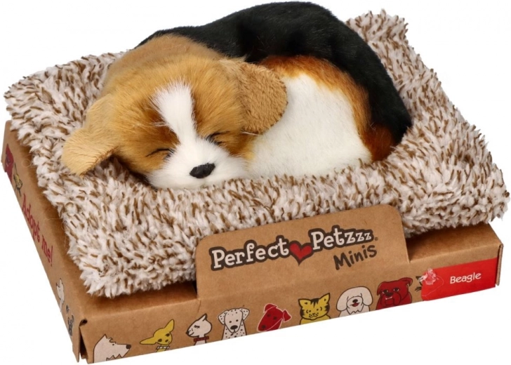 Kompakta un dāvanai gatava iesaiņošana