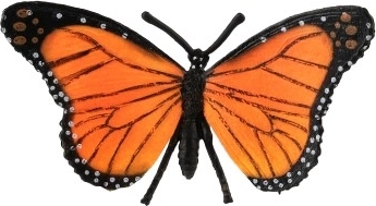 Reālistiskas krāsas un spārnu raksts