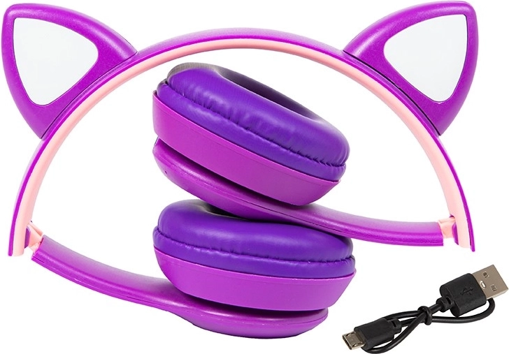 Klausies arī bez telefona: FM radio un microSD