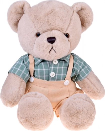 Stilīgs krekls retro rūtīs