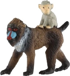 Mātīte ar mazuli uz muguras