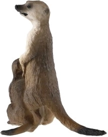 Kompakts izmērs 8 cm