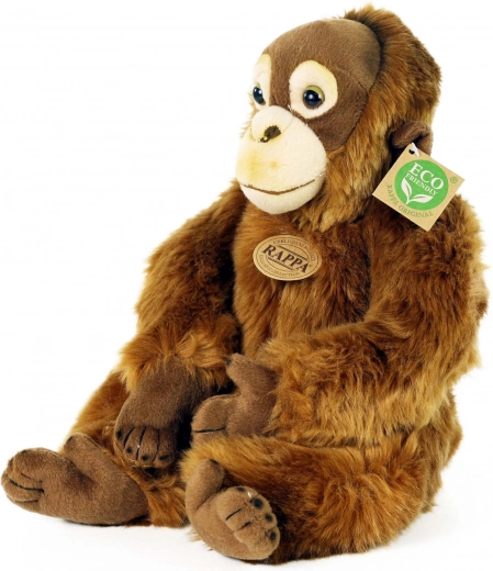 Videi draudzīgs pildījums no pārstrādātām PET pudelēm