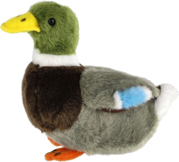 Maigs un drošs no pirmās dienas