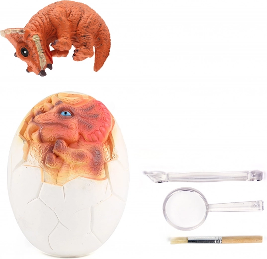 Everything needed for young paleontologists