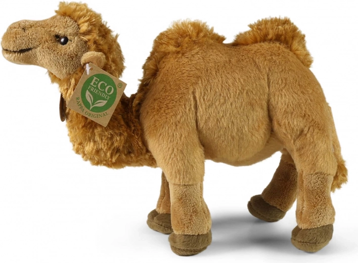 Drošs no dzimšanas