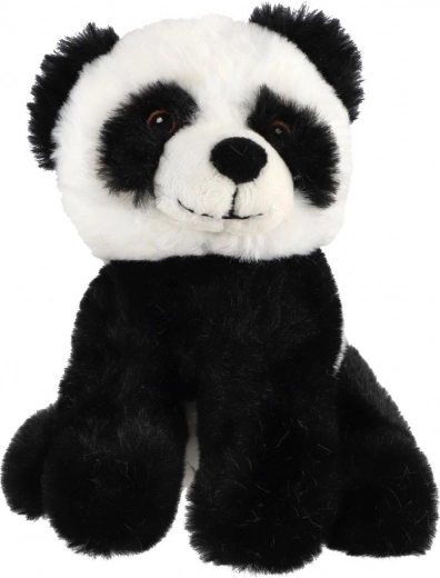 Drošs izpildījums no dzimšanas