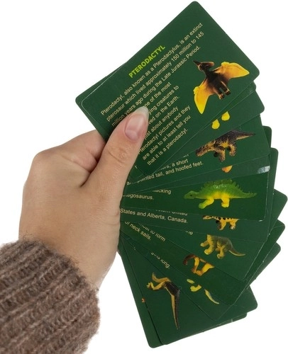 Izglītības atbalsts