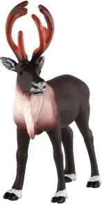 Stabila stāja un universāls pielietojums