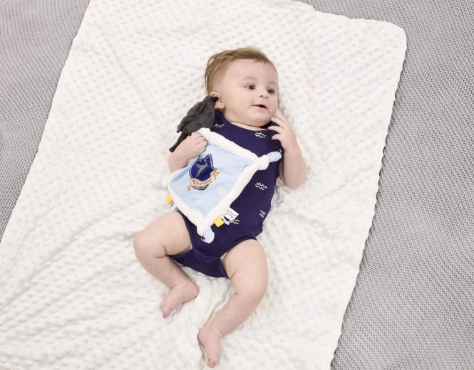 Kraukļnama ģerbonis mazajiem faniem