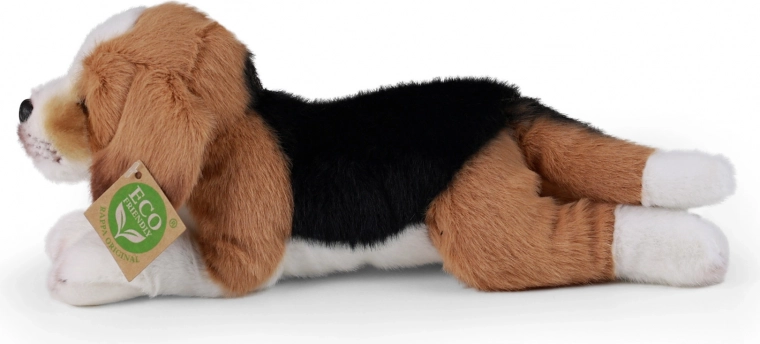 Eco-Friendly materiāli