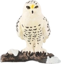 Ideāli piemērota kolekcijām un diorāmām