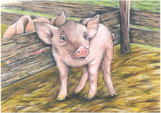 Iecienītais sivēna motīvs