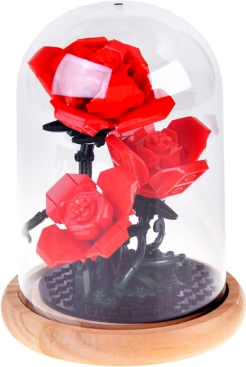 Stabils kupols ar koka pamatni