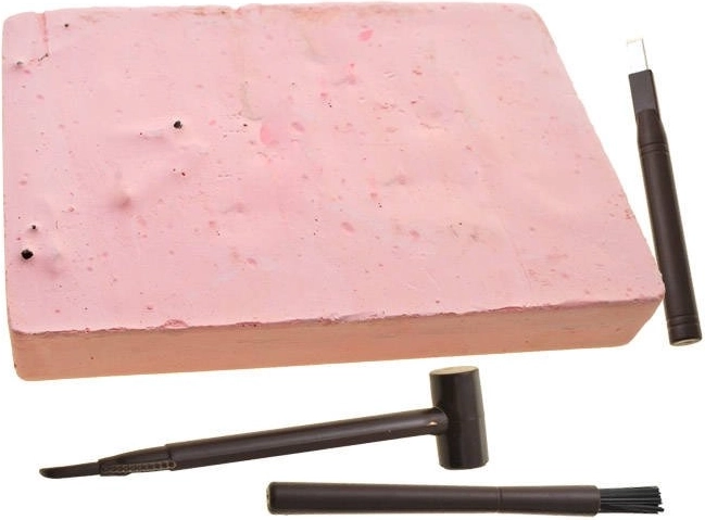 Atklājiet skeletus kā īsts paleontologs