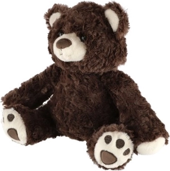 Ideāls sabiedrotais