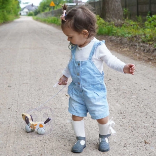 Pirmo soļu atbalsts