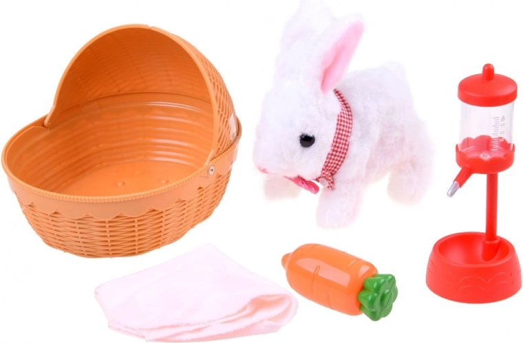 Viss mīluļa aprūpei vienā komplektā