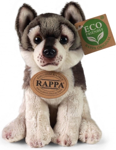 ECO‑FRIENDLY pildījums no pārstrādāta PET