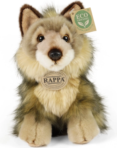 Eco-friendly pildījums no PET pudelēm