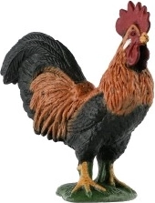 Daudzpusīgs pielietojums