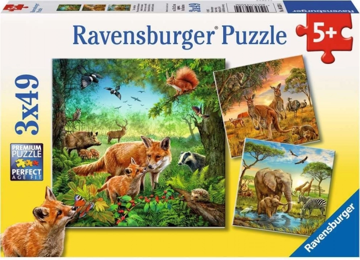 Three animal worlds in one box