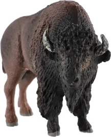 Ideāli kolekcijai un mācībām