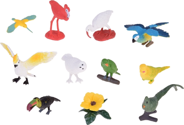 Daudzveidīgs komplekts ar 10 eksotiskiem putniem
