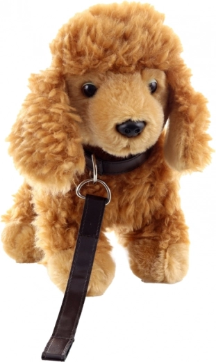 Drošs un piemērots no 0+