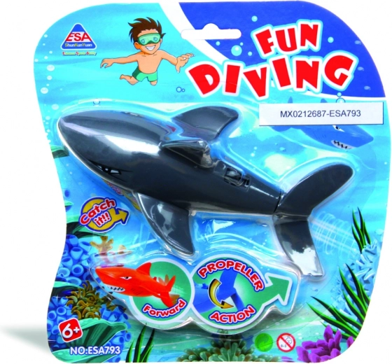 Iepakojums "Fun Diving"