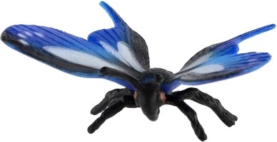 Daudzpusīga dekoratīva izmantošana