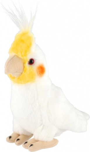 Reālistiskas nimfas detaļas