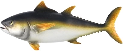 Dekorācija un mācību modelis