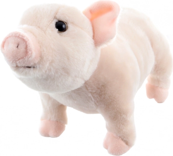 Viegls un ideāli piemērots ceļojumiem