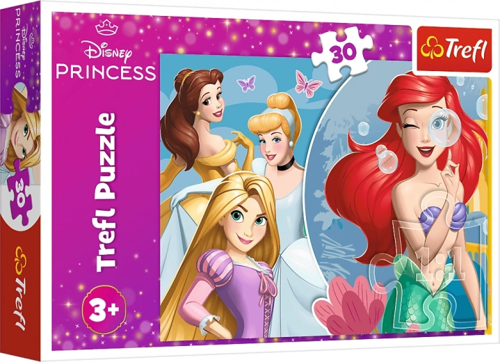 DISNEY PRINCESS prinčešu motīvs