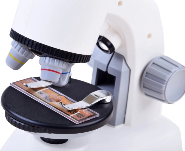 Trīs palielinājuma pakāpes skaidram detalizējumam