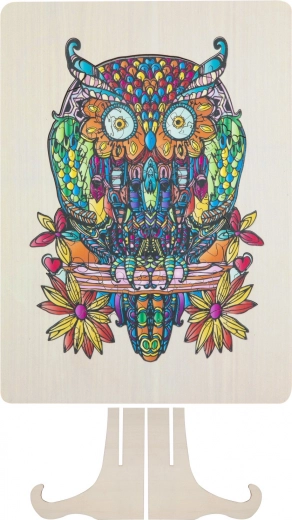 Detalizēti ilustrēta pūce