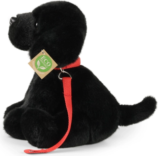 Videi draudzīgs pildījums no PET pudelēm