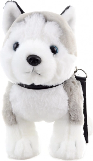Interactive fun with a leash