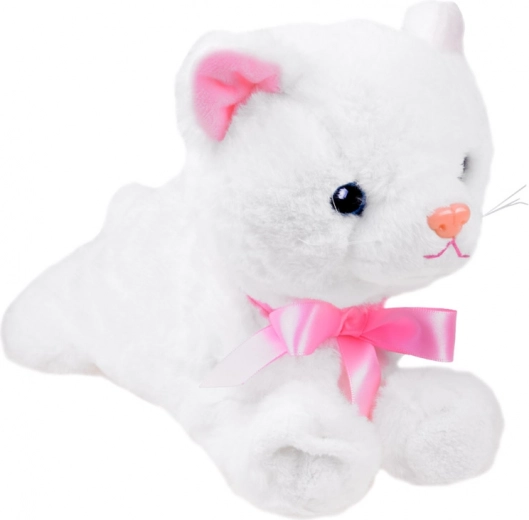 Izklaidējošas akrobātiskas kustības